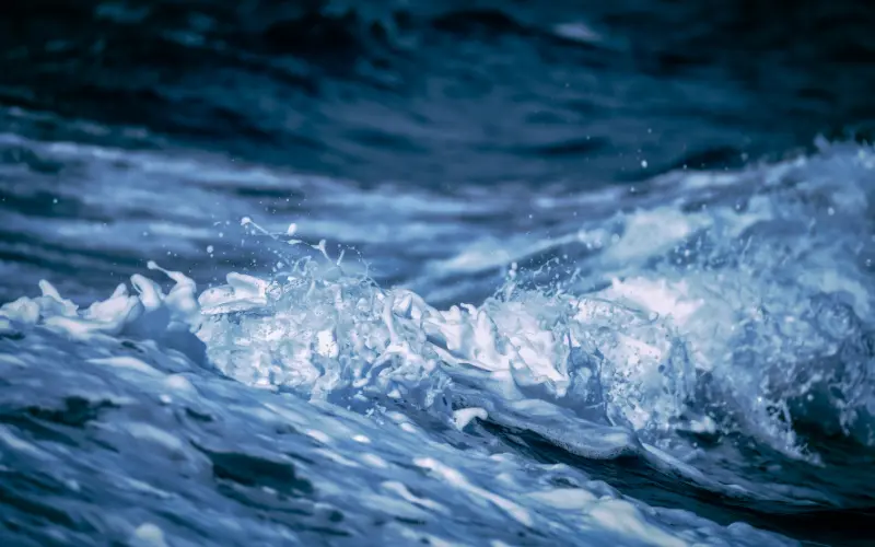 Eau de Quinton vs eau de mer ordinaire : pourquoi l'une est sûre et pas l'autre