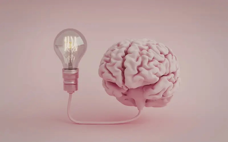 Ménopause et santé cognitive
