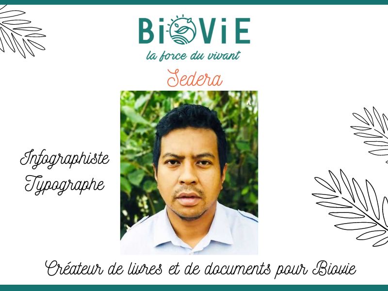 sedera-infographiste-typographe-créateur-livres-documents-biovie