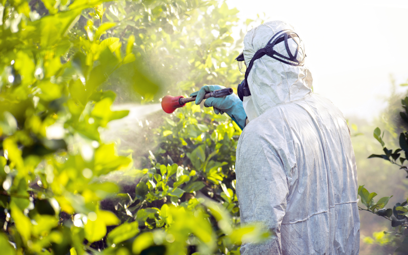 L'agriculture moderne