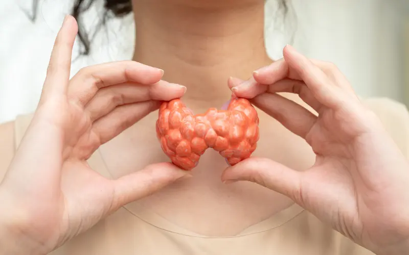Algues et thyroïde