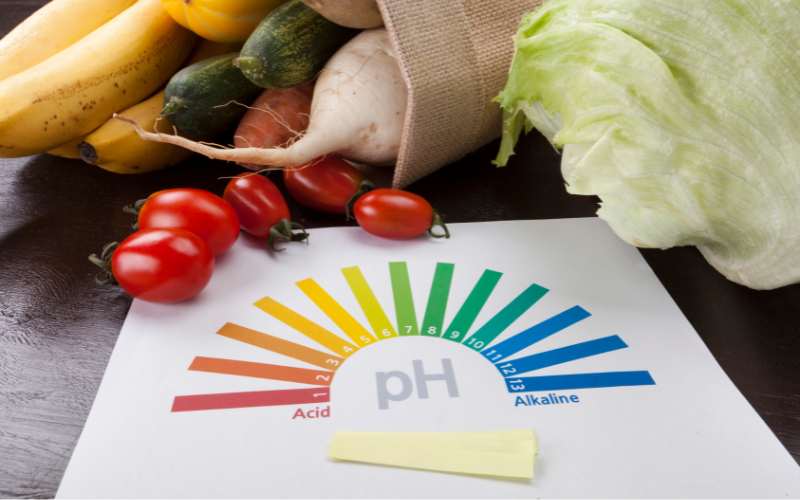 Aliments alcalins