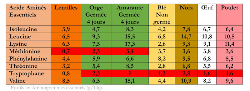 aminogramme