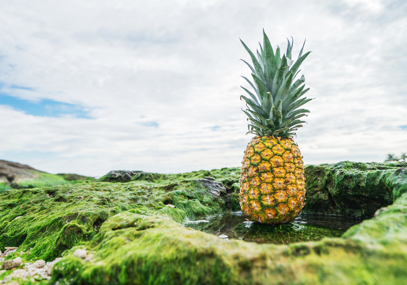 Bienfaits et vertus de l'ananas