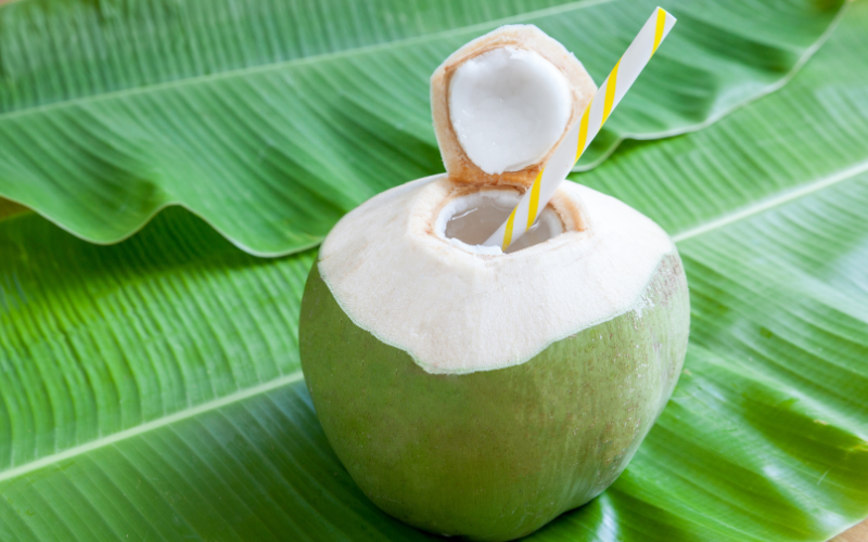 Astuces pour choisir et conserver votre noix de coco