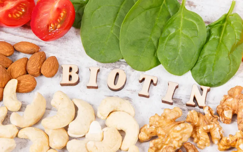 Biotine et sources alimentaires 