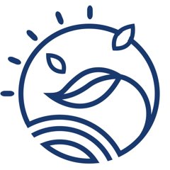 Algues au quotidien