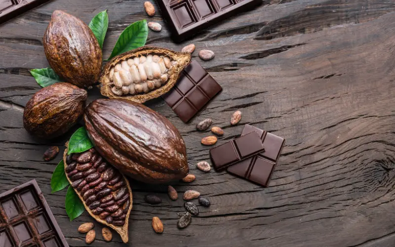 Les effets du cacao sur les femmes