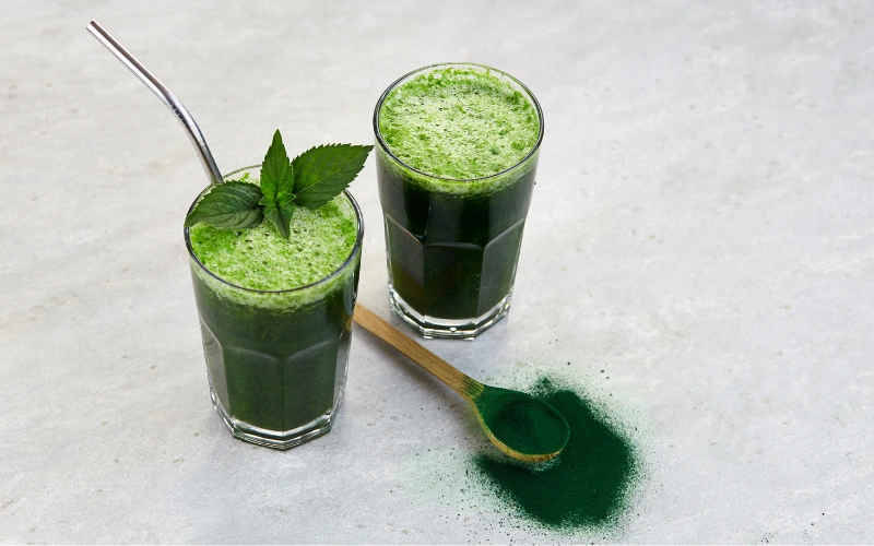 Les propriétés de la chlorella
