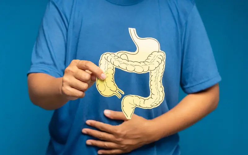 Colon