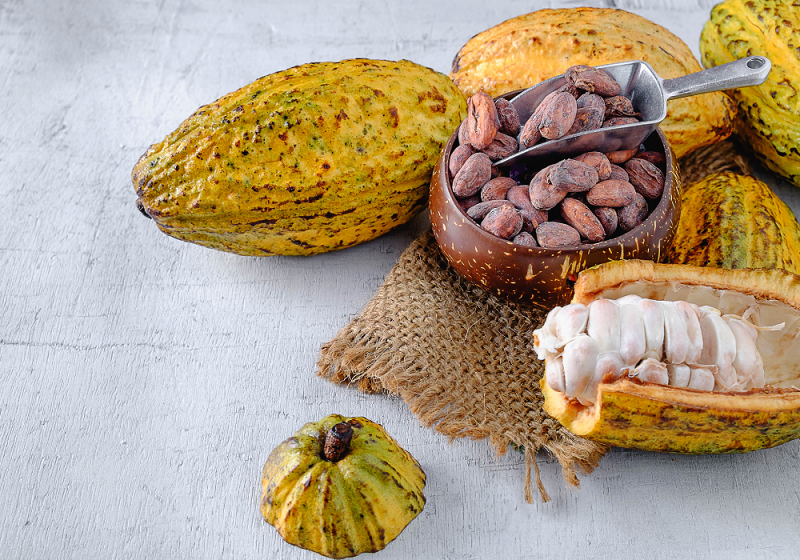 fèves de cacao