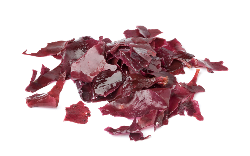 Composition nutritionnelle de la dulse