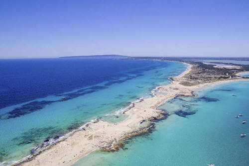 eau de mer et plasma marin