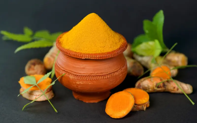 Curcuma bio en poudre 