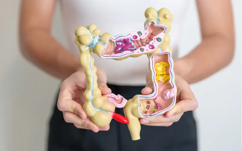 La détox douce : une approche adaptée au côlon irritable