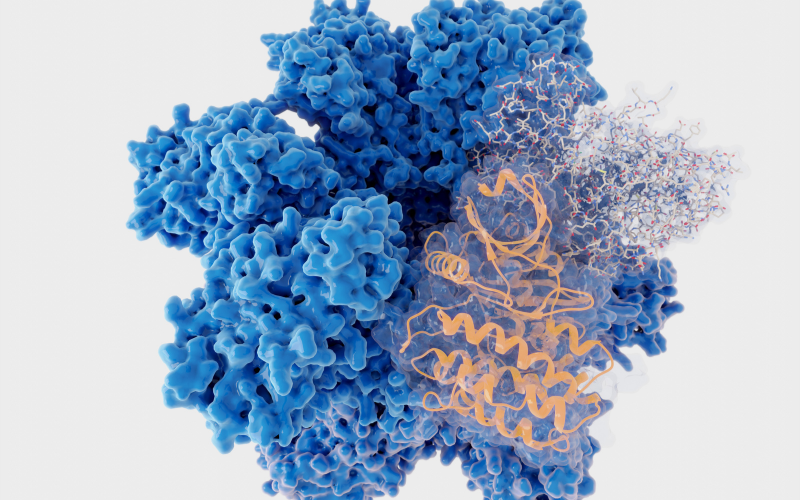 Definition of enzyme
