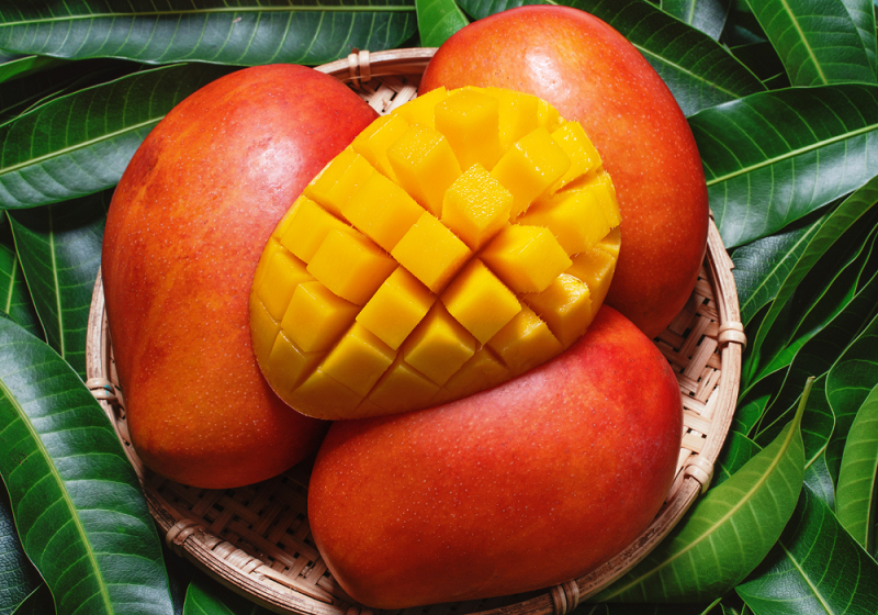 l'origine et l'histoire de la mangue