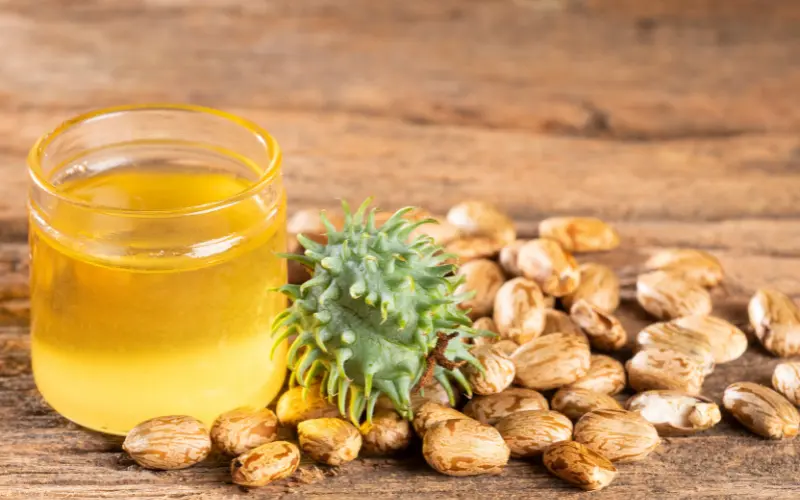 Comment choisir une huile de ricin de qualité 