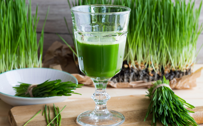 Jus d'herbe de blé