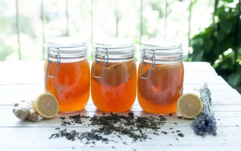 Kombucha fait maison 