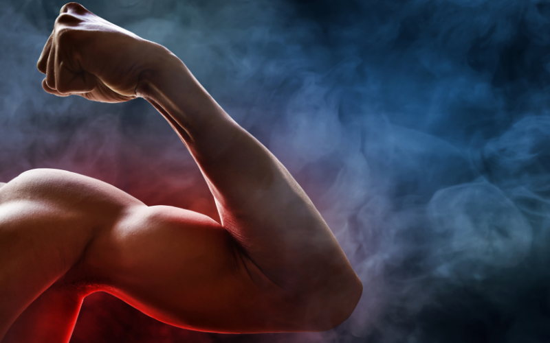 la lumière rouge favorise la récupération musculaire