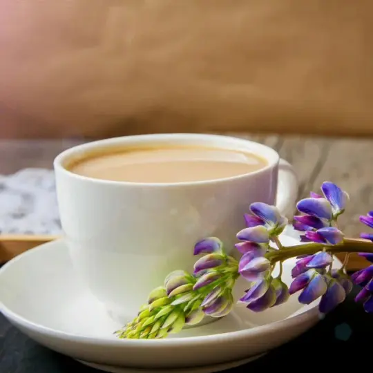 Le café de lupin