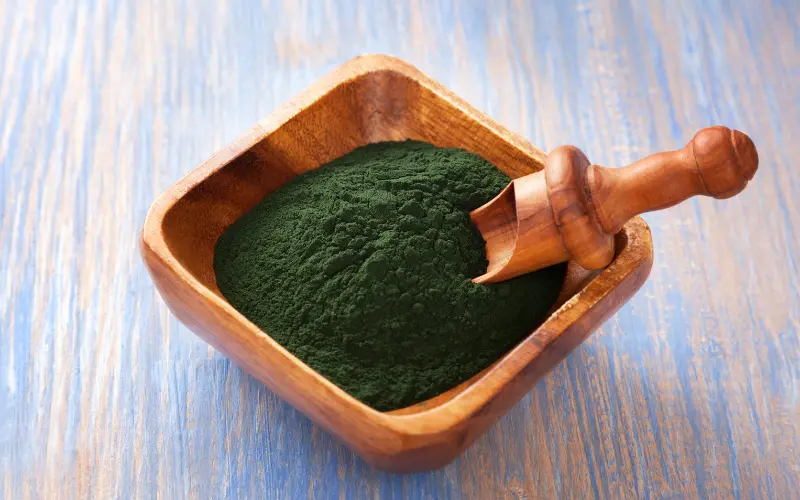 Les nutriments immunoprotecteurs concentrés dans la spiruline