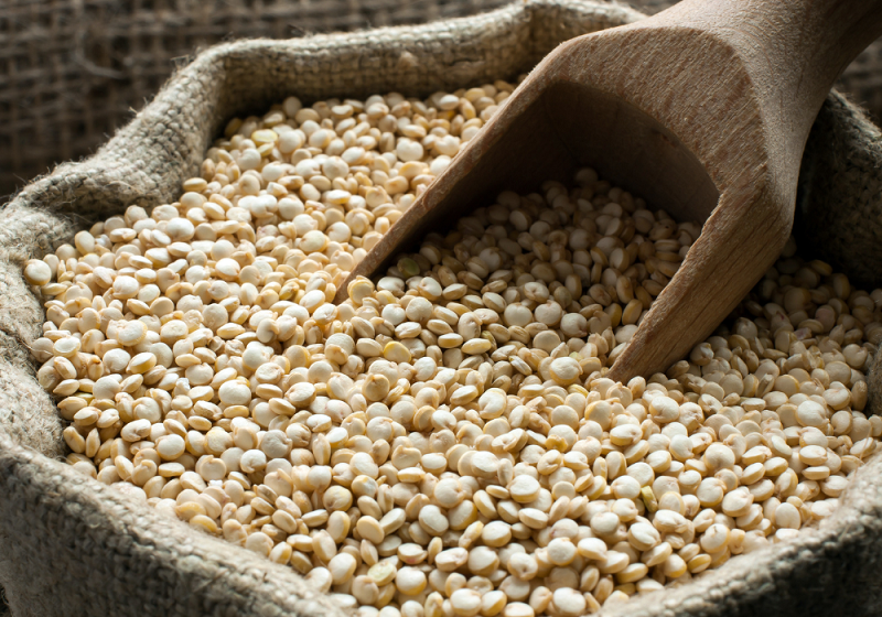 Est-ce que le quinoa est un féculent ?