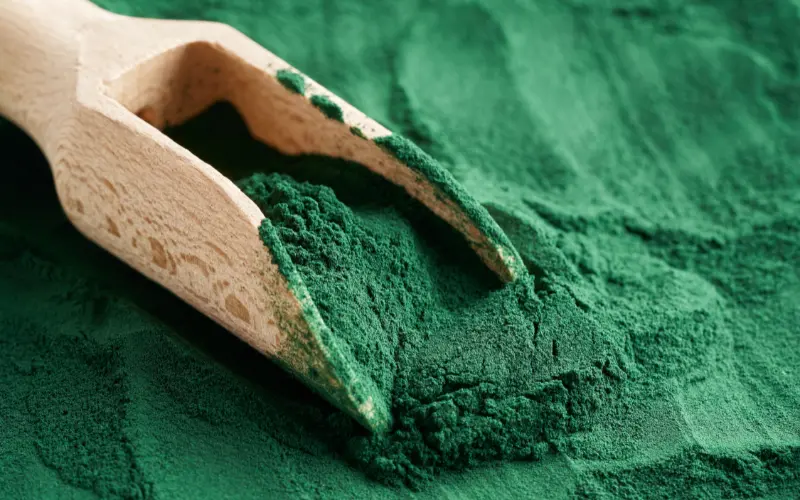 Spiruline en poudre