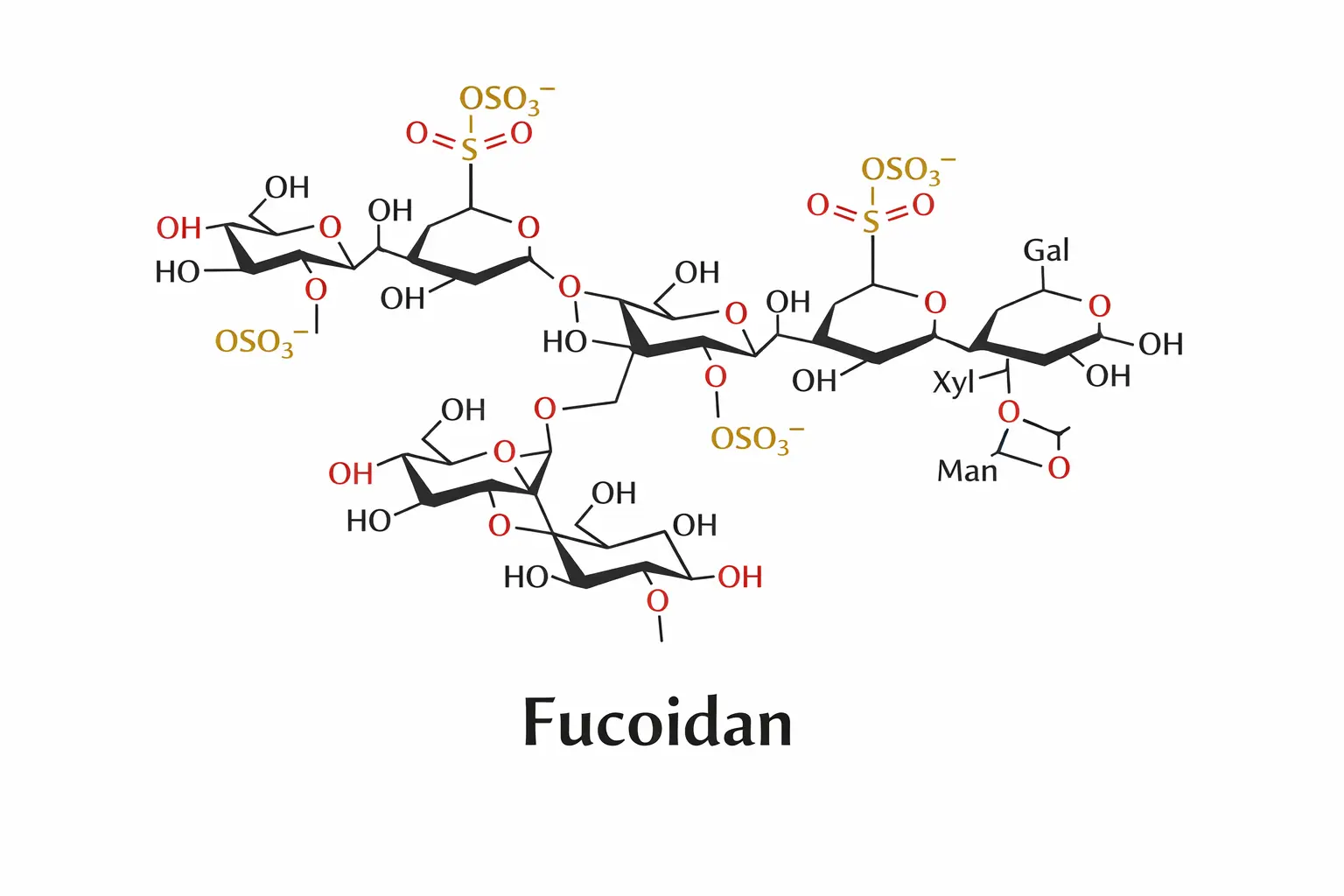Structure moléculaire du fucoïdane