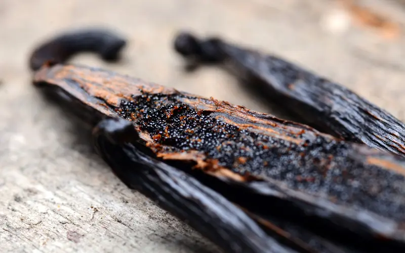 Vanille Bourbon bio de Madagascar