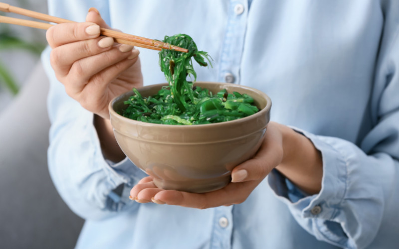 Everything about the dulse, wakamé, sea lettuce and sea beans 