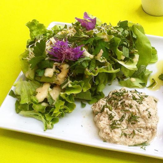 Sunflower Hummus: The Raw, Healthy, and Chickpea-Free Spread