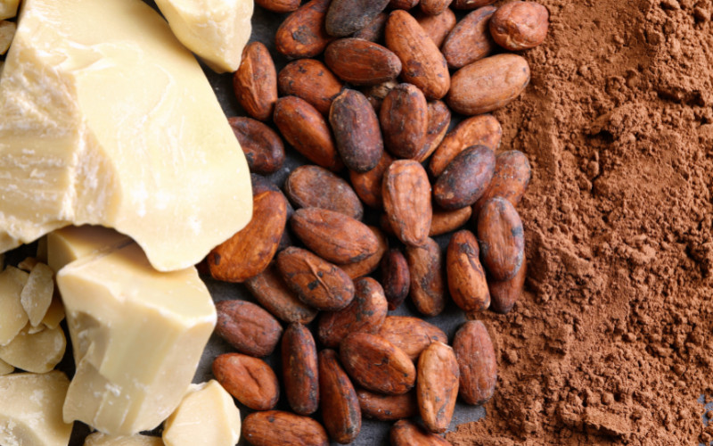 Les bienfaits du cacao cru : le superaliment de l'alimentation vivante