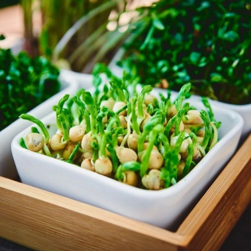 Découvrez les secrets des graines de pois vert : Recettes, Bienfaits et Culture
