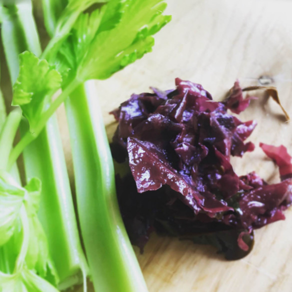Condimento de apio y dulse: la receta para reemplazar la sal en la cocina