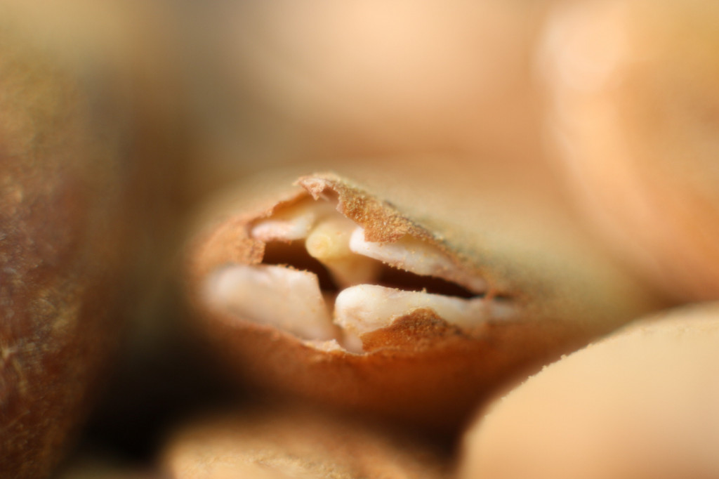 Le mandorle attivate: super alimenti della nostra quotidianità!