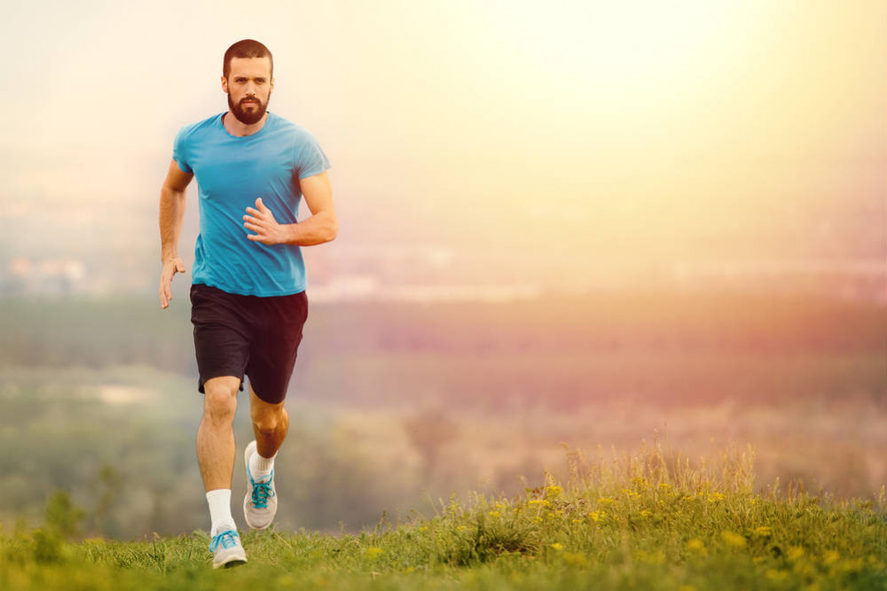 Aterosclerosis: enfoques naturales para cuidar tus arterias