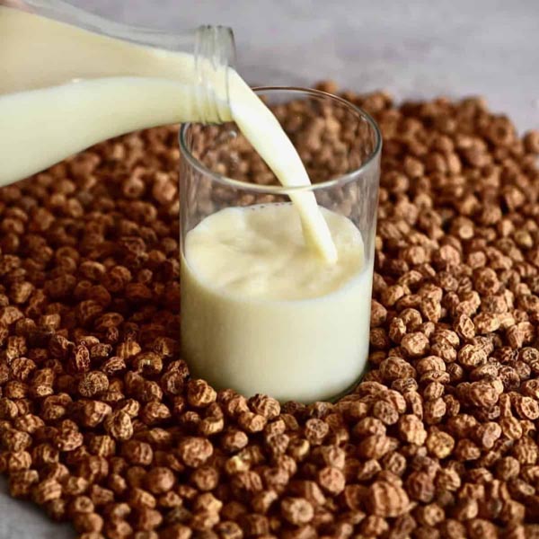 Comment faire son lait végétal maison ?