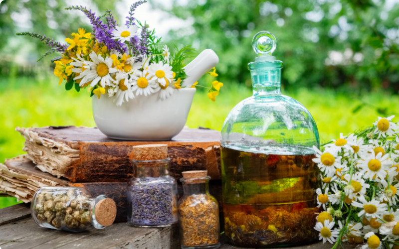 Comment choisir son école de naturopathie ?