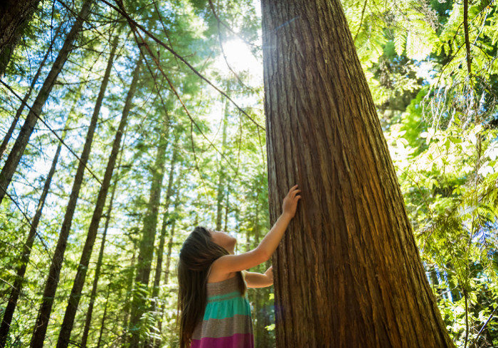 Comment se reconnecter à la nature ? (6 idées)
