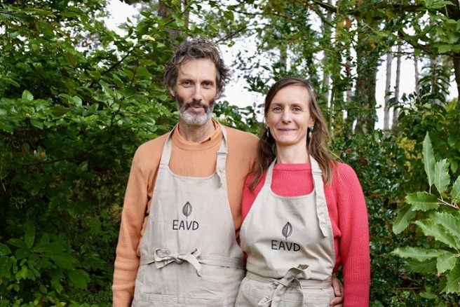 I nostri consigli e trucchi per iniziare con l'alimentazione cruda e viva