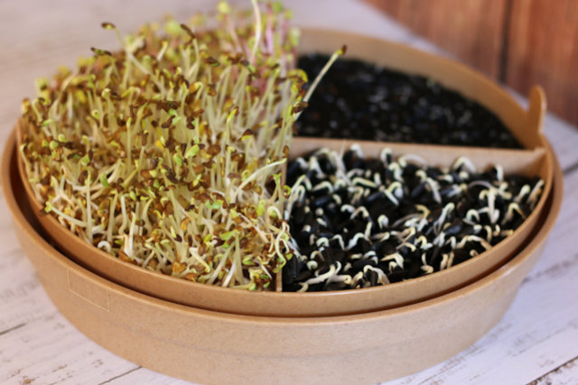 5 Low-Tech, Eco-Friendly Gift Ideas
