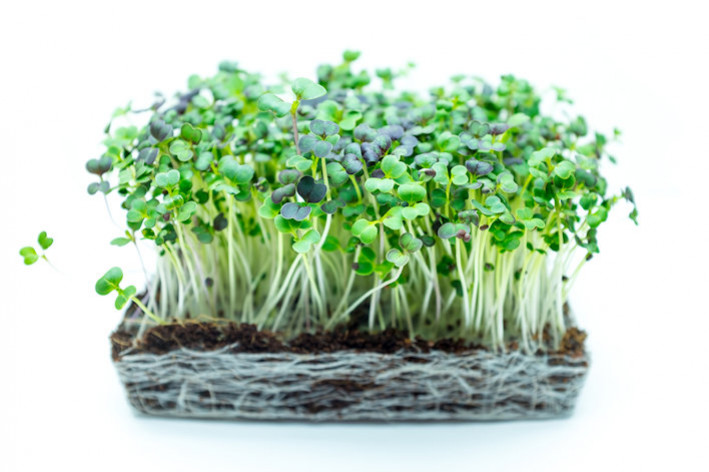 What are the benefits of sprouted seeds?
