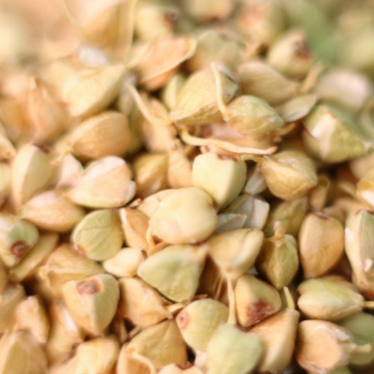 Sem glúten e alimentação viva