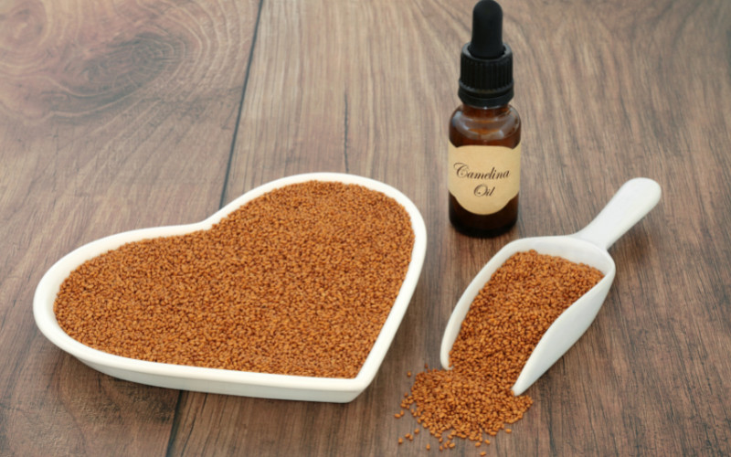 Organic camelina oil: a nutritional treasure for health