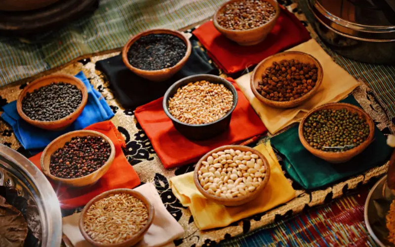 Proteínas o Carbohidratos: La verdad sobre los alimentos vegetales