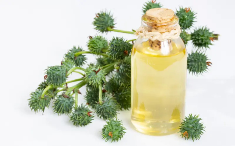 Where to buy high-quality organic castor oil in France?