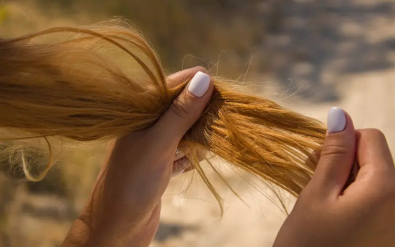Cheveux fins, cassants ou tombant : le protocole marin naturel qui change tout
