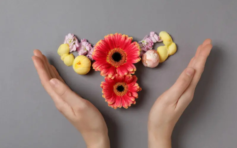 Affaticamento in menopausa: le alghe sono le vostre migliori alleate nutrizionali
